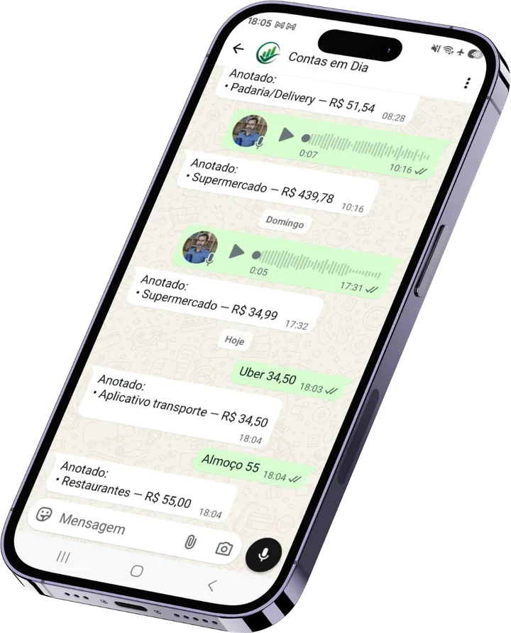 Conversa com o Contas em Dia no WhatsApp: mensagens e áudios viram lançamentos